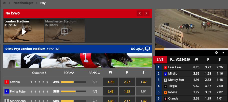 sporty wirtualne u polskich bukmacherów