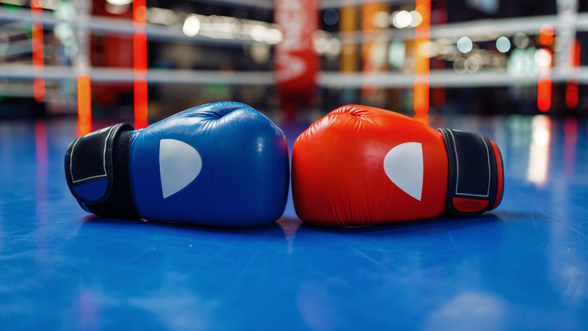 Gdzie obstawiać Fury Wilder 2021