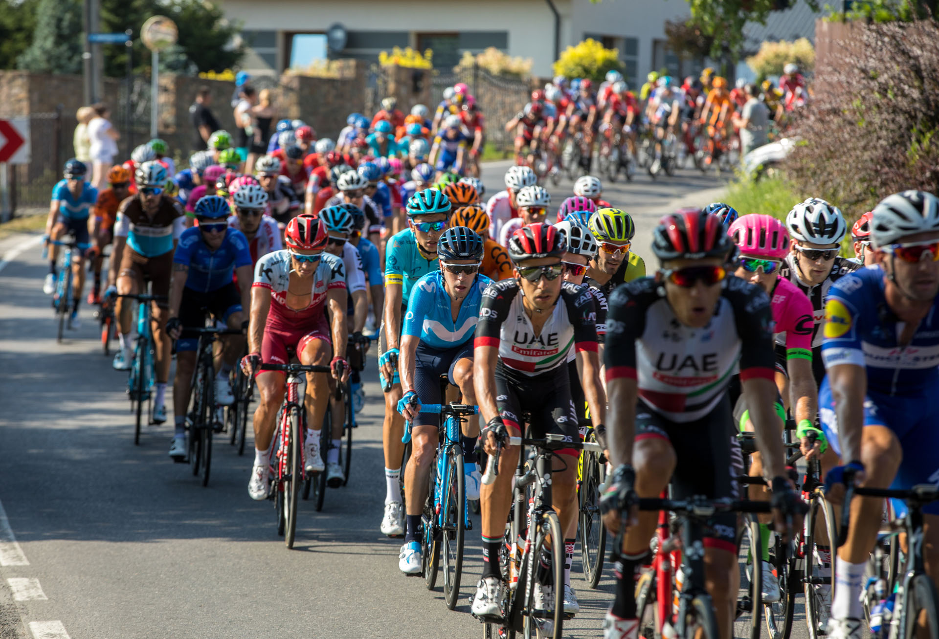 79 Tour de Pologne zapowiedz informacje typy